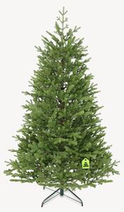 Smrek Natura 100% 150 cm