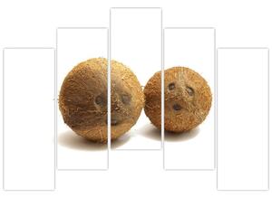 Kokosový orech, obraz (Obraz 125x90cm)
