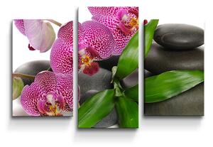 Sablio Obraz - 3-dílný Orchidey a kamene - 75x50 cm