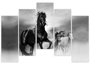 Čiernobiely obraz koňov (Obraz 125x90cm)