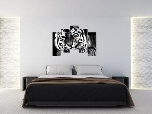 Tiger s mláďaťom, obraz (Obraz 125x90cm)