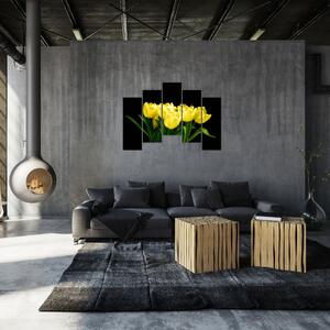 Tulipány - obraz (Obraz 125x90cm)