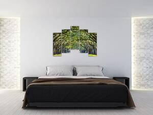 Aleje stromov - obraz (Obraz 125x90cm)