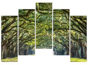 Aleje stromov - obraz (Obraz 125x90cm)
