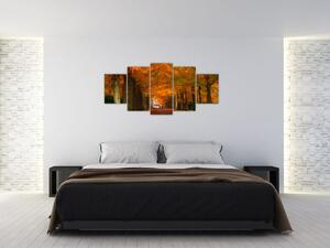 Obraz cesty lesom na jeseň (Obraz 150x70cm)