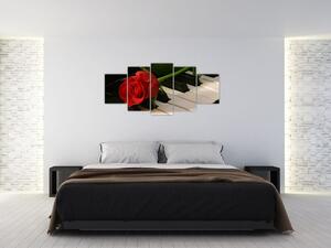 Obraz ruže na klavíri (Obraz 150x70cm)