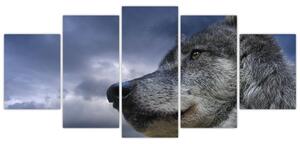 Obraz vlka (Obraz 150x70cm)