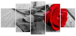 Obraz ruže s červeným kvetom (Obraz 150x70cm)