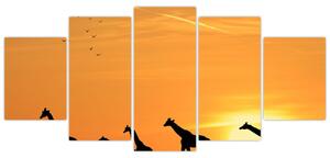 Moderný obraz - žirafy (Obraz 150x70cm)
