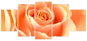 Obraz oranžové ruže (Obraz 150x70cm)