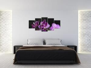 Obraz kvetov (Obraz 150x70cm)