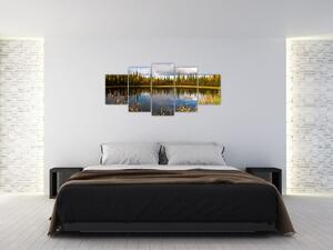 Obraz na stenu - lesné jazierko (Obraz 150x70cm)