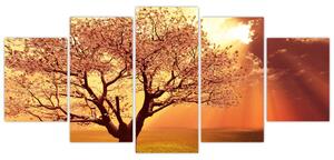 Obraz prírody - strom (Obraz 150x70cm)