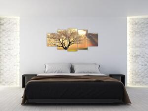 Obraz prírody - strom (Obraz 150x70cm)