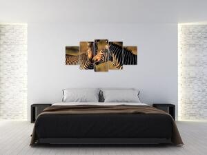 Obraz - zebry (Obraz 150x70cm)