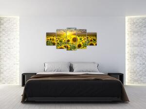 Obraz slnečníc (Obraz 150x70cm)