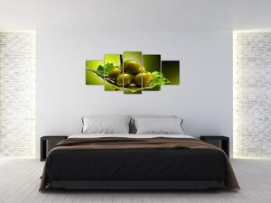 Obrazy do kuchyne - olivy (Obraz 150x70cm)