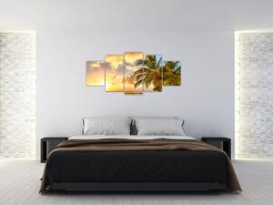 Obraz palmy na piesočnatej pláži (Obraz 150x70cm)