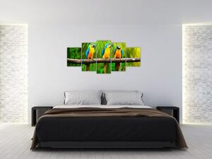 Moderný obraz - papagáje (Obraz 150x70cm)