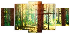 Moderný obraz - les (Obraz 150x70cm)