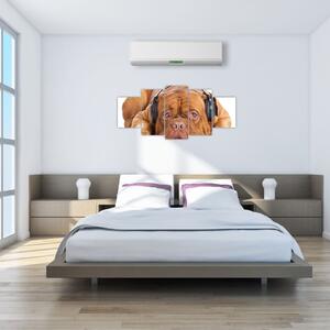 Moderný obraz - pes so slúchadlami (Obraz 150x70cm)