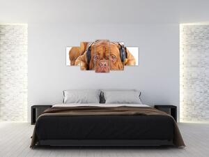 Moderný obraz - pes so slúchadlami (Obraz 150x70cm)