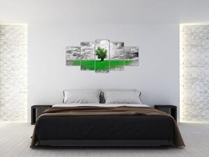 Zelený ostrov vo vyprahnutej krajine - obrazy do obývačky (Obraz 150x70cm)