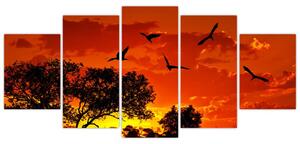 Obraz zapadajúceho slnka s vtákmi (Obraz 150x70cm)