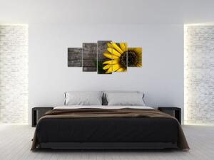 Obraz slnečnice na stole (Obraz 150x70cm)