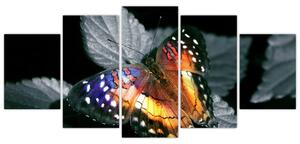 Motýľ na liste - obraz (Obraz 150x70cm)