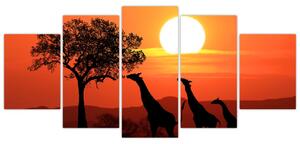 Obraz žirafy pri západe slnka (Obraz 150x70cm)
