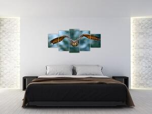Obraz letiaci sovy (Obraz 150x70cm)