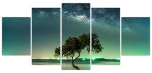 Obraz - magická noc (Obraz 150x70cm)