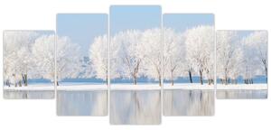 Obraz - zimná príroda (Obraz 150x70cm)