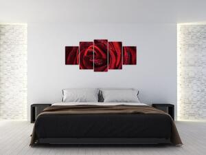Obraz červené ruže (Obraz 150x70cm)
