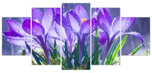 Obraz kvetov pri daždi (Obraz 150x70cm)