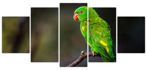 Obraz zeleného papagája (Obraz 150x70cm)