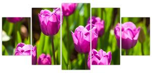 Obraz kvitnúcich tulipánov (Obraz 150x70cm)