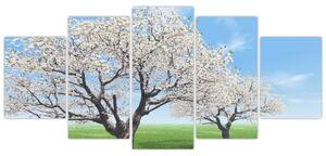 Obraz kvitnúceho stromu na jarné lúke (Obraz 150x70cm)
