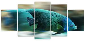 Obraz na stenu - ryby (Obraz 150x70cm)