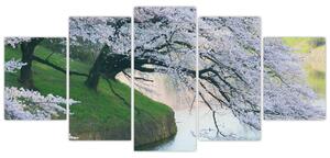 Obraz kvitnúcich stromov (Obraz 150x70cm)