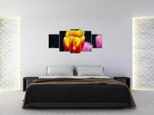 Obraz tulipánu (Obraz 150x70cm)
