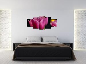 Tulipány - obrazy (Obraz 150x70cm)