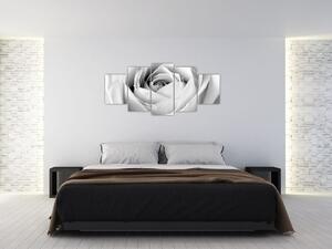 Čiernobiely obraz ruže (Obraz 150x70cm)
