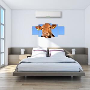 Obraz kravy (Obraz 150x70cm)