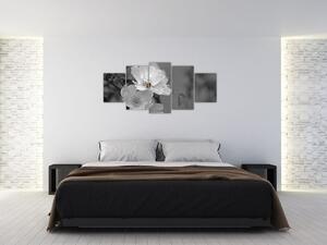 Čiernobiely obraz (Obraz 150x70cm)