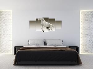 Obrazy bieleho koňa (Obraz 150x70cm)