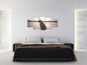 Obraz - sediaci pes (Obraz 150x70cm)