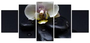 Obraz kvetu (Obraz 150x70cm)