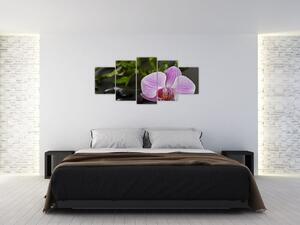 Moderný obraz kvetu (Obraz 150x70cm)